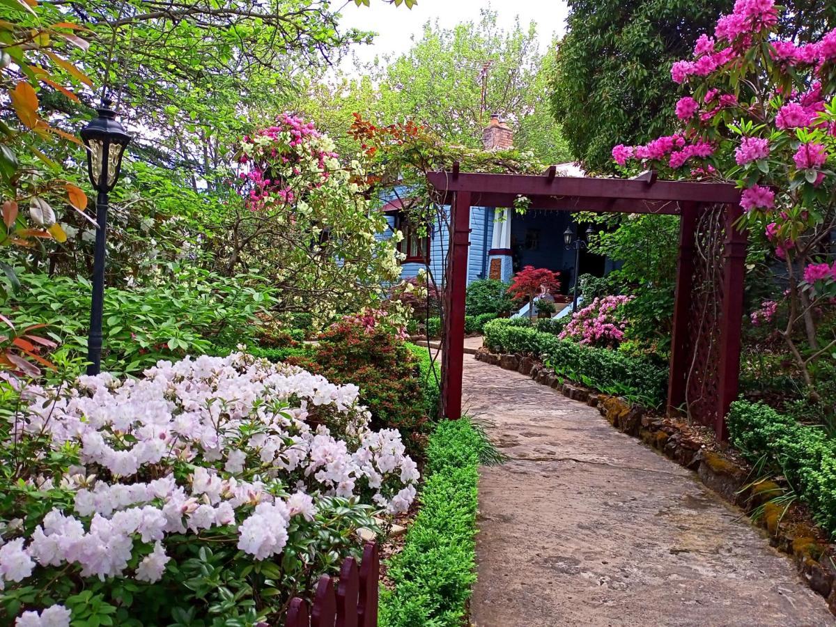 Kubba Roonga Guesthouse - Boutique Luxury Spa Retreat & Gardens - Blue Mountains Блекхийт Екстериор снимка